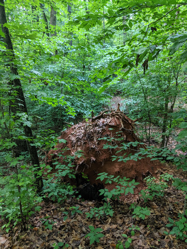 Recreation Center «Duluth City Parks & Recreation», reviews and photos, 3180 Bunten Rd, Duluth, GA 30096, USA