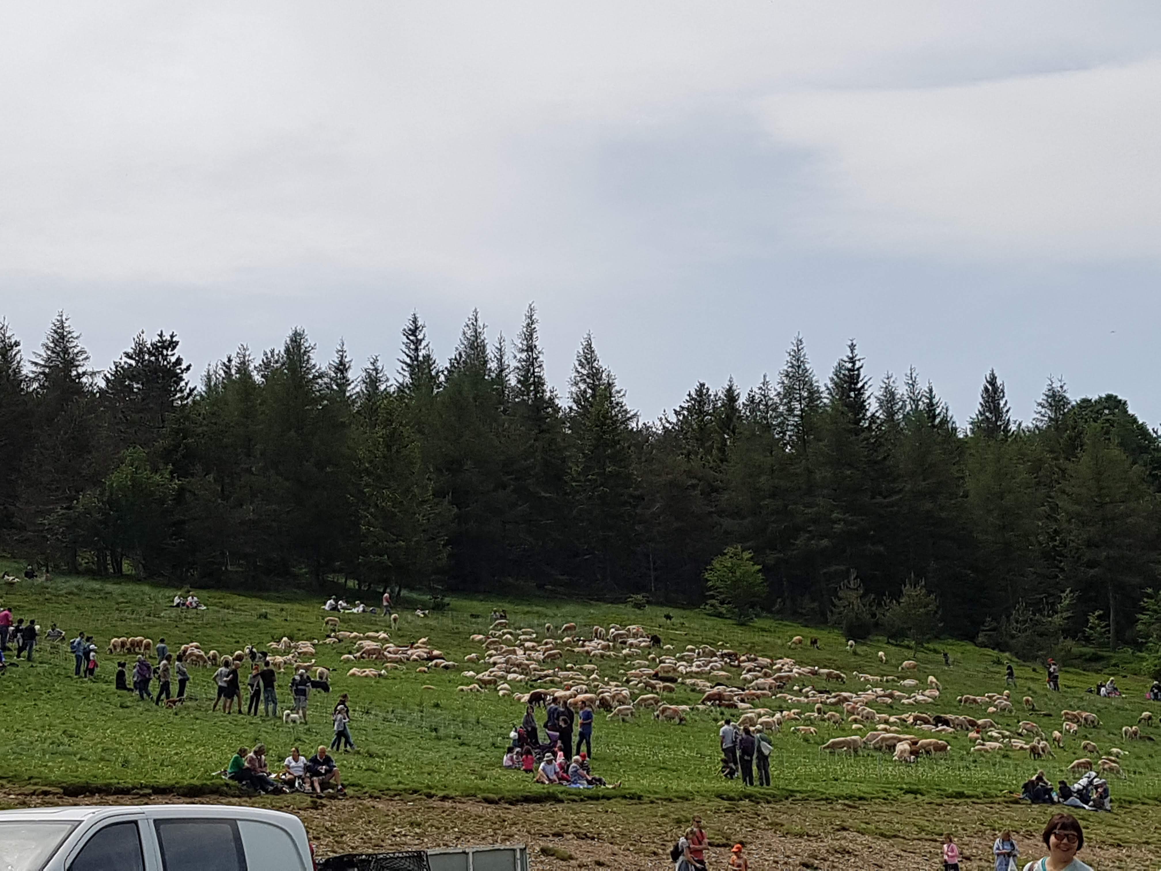 Photo n° 25 de l'avis de Valou.O fait le 11/08/2018 à 16:07