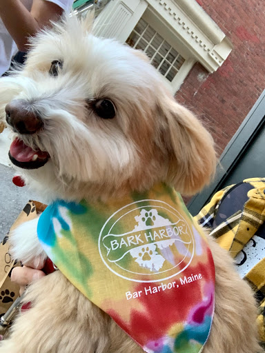 Pet Supply Store «Bark Harbor», reviews and photos, 150 Main St # 3, Bar Harbor, ME 04609, USA