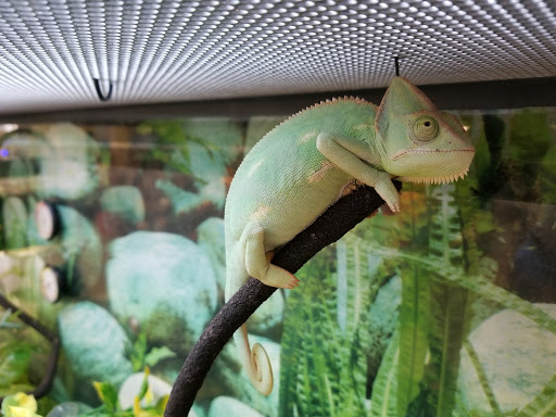 Pet Supply Store «Petco Animal Supplies», reviews and photos, 4600 Casey Blvd #100, Williamsburg, VA 23188, USA