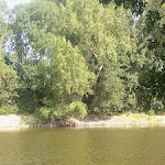 Photo n° 3 de l'avis de Marie.e fait le 17/07/2023 à 15:22 pour Église Notre-Dame de Béhuard à Béhuard