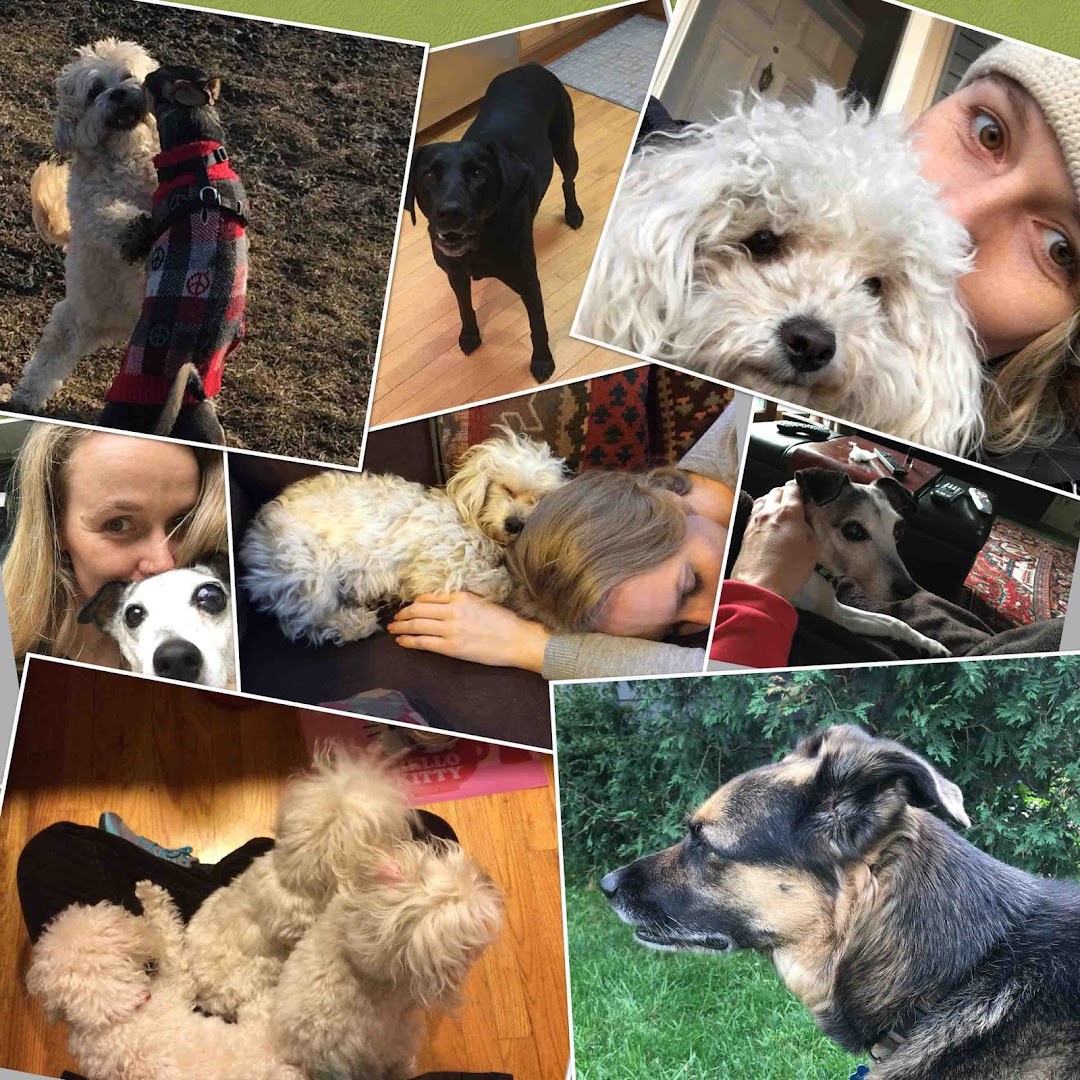 Sarah's Pups - Caring Canine Companionship