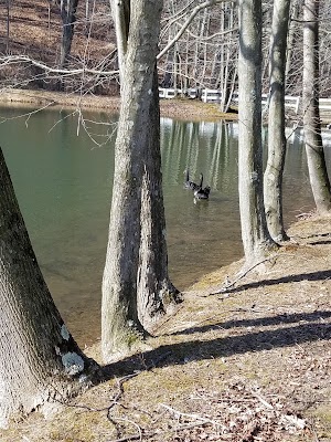 Carousel Park - photo 83