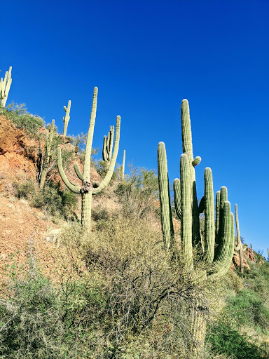 Horseback Riding Service «Spur Cross Stables», reviews and photos, 44029 N Spur Cross Rd, Cave Creek, AZ 85331, USA