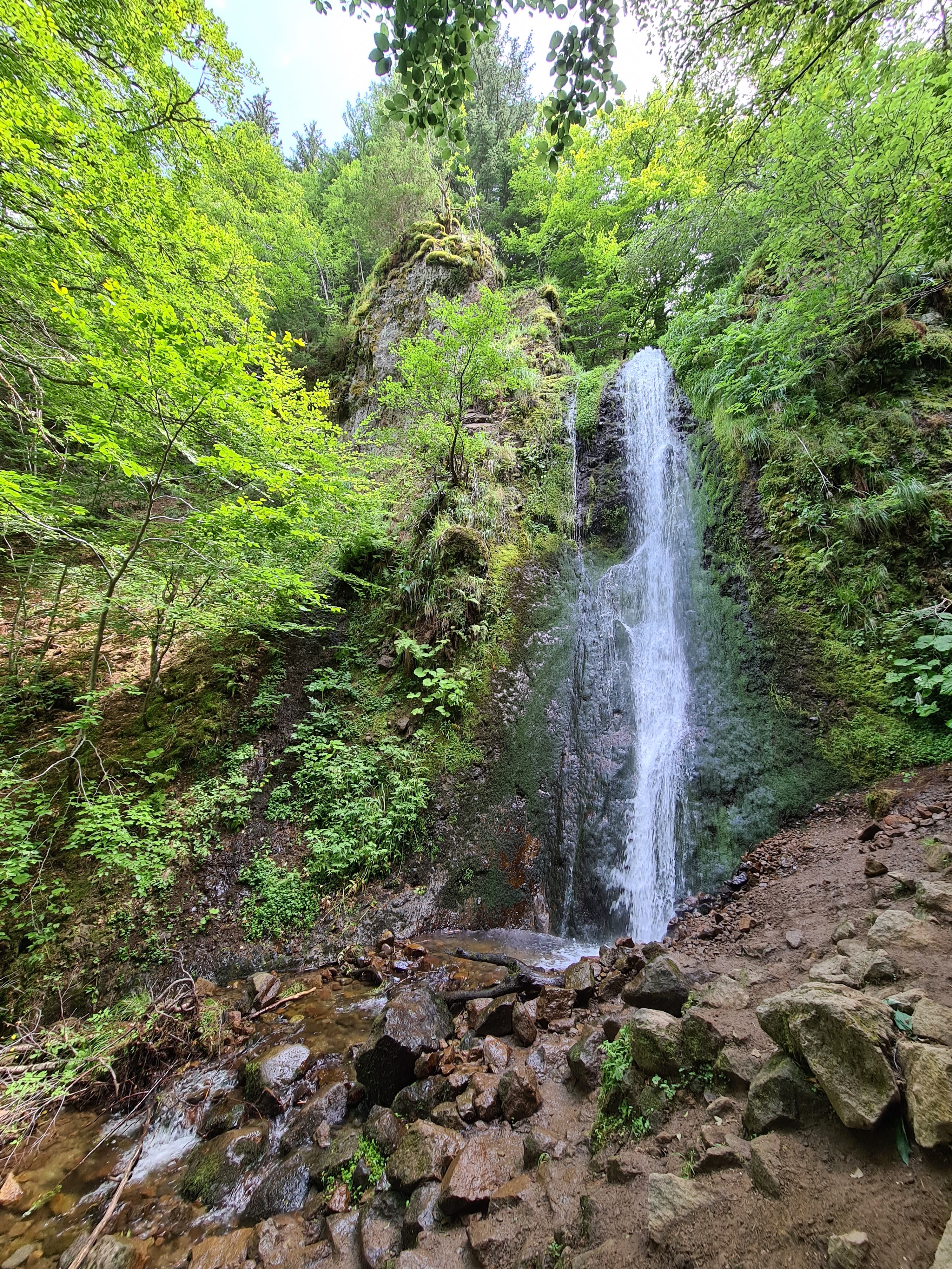 Photo n° 2 de l'avis de julien.n fait le 12/08/2021 à 18:57
