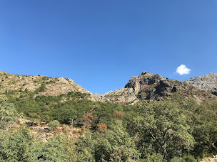 Photo n°25 de Osteria U Mulinu à Feliceto ()