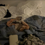 Photo n°6 de l'avis de Carla.S fait le 11/03/2023 à 07:10 sur le  Il Granello di Senape à Rome