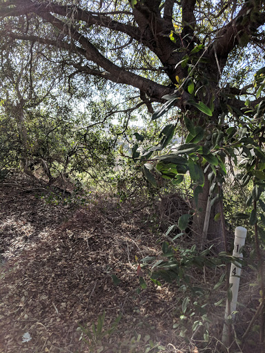 Cable Company «Time Warner», reviews and photos, 10450 Pacific Center Ct, San Diego, CA 92121, USA