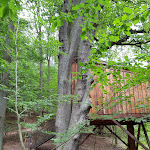 Photo n°1 de l'avis de Ingrid.l fait le 12/06/2020 à 14:01 sur le  Wipfelglück Baumhaushotel OHG à Mönchberg