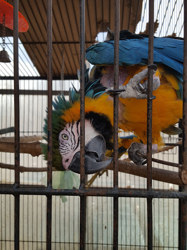 Florist «Meier Flowerland & Greenhouse», reviews and photos, 8087 Grand River Ave, Brighton, MI 48114, USA