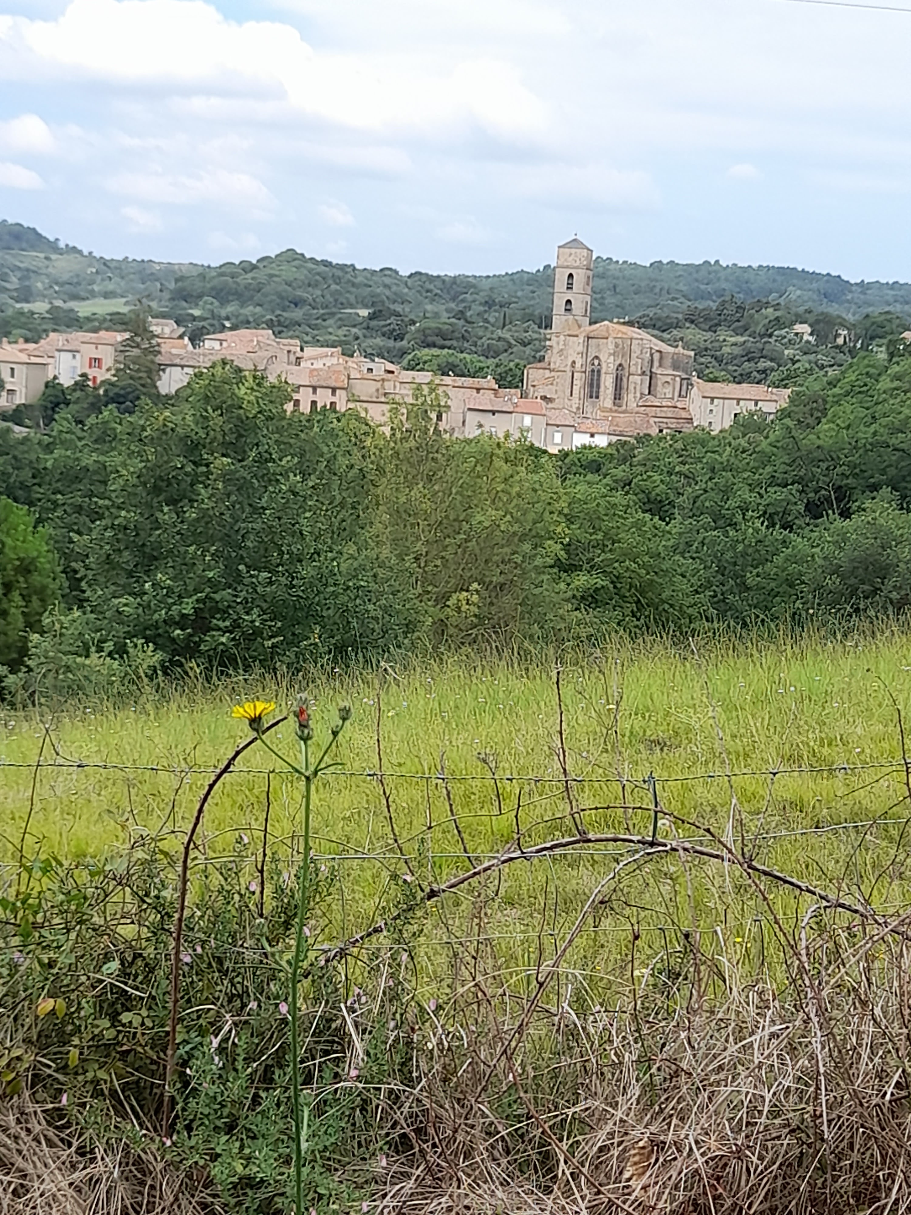 Photo n° 4 de l'avis de Valérie.i fait le 19/07/2021 à 06:37