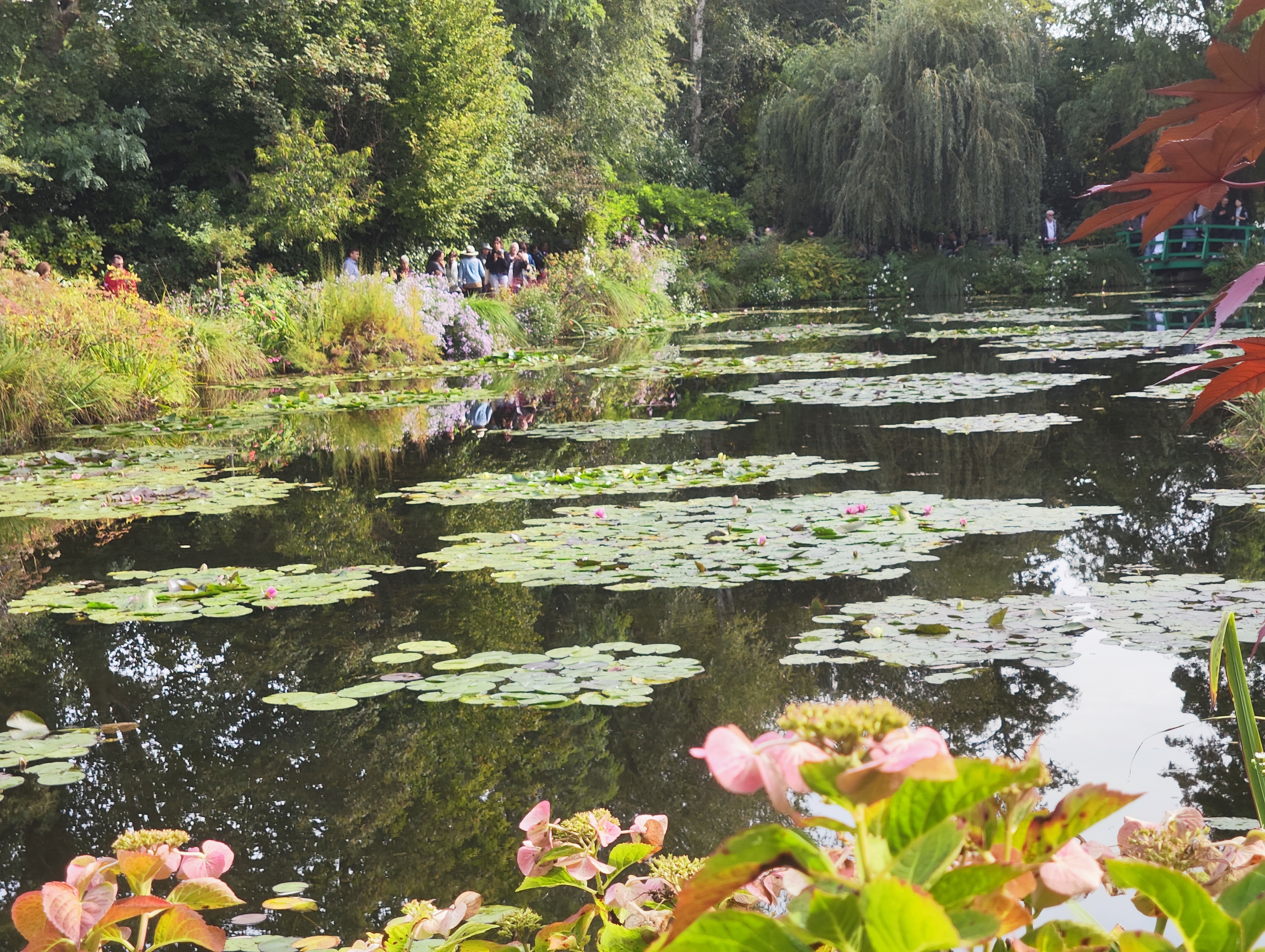 Photo n° 11 de l'avis de Philippe.u fait le 20/10/2023 à 11:49