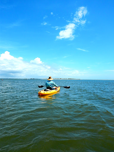 Surf Shop «Surf The Earth», reviews and photos, 47 Da Gullah Way, Pawleys Island, SC 29585, USA