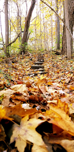 Nature Preserve «Kokiwanee Nature Preserve», reviews and photos, 5825 E 50 S, Lagro, IN 46941, USA