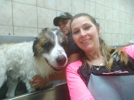 Pet Supply Store «Pet Supplies Plus», reviews and photos, 1012 W Hebron Pkwy #120, Carrollton, TX 75010, USA