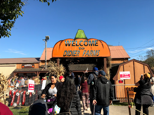 Produce Market «Didier Farms», reviews and photos, 16678 Aptakisic Rd, Lincolnshire, IL 60069, USA