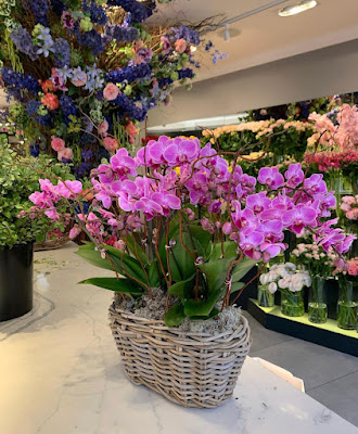 Allard Fleurs à Antibes