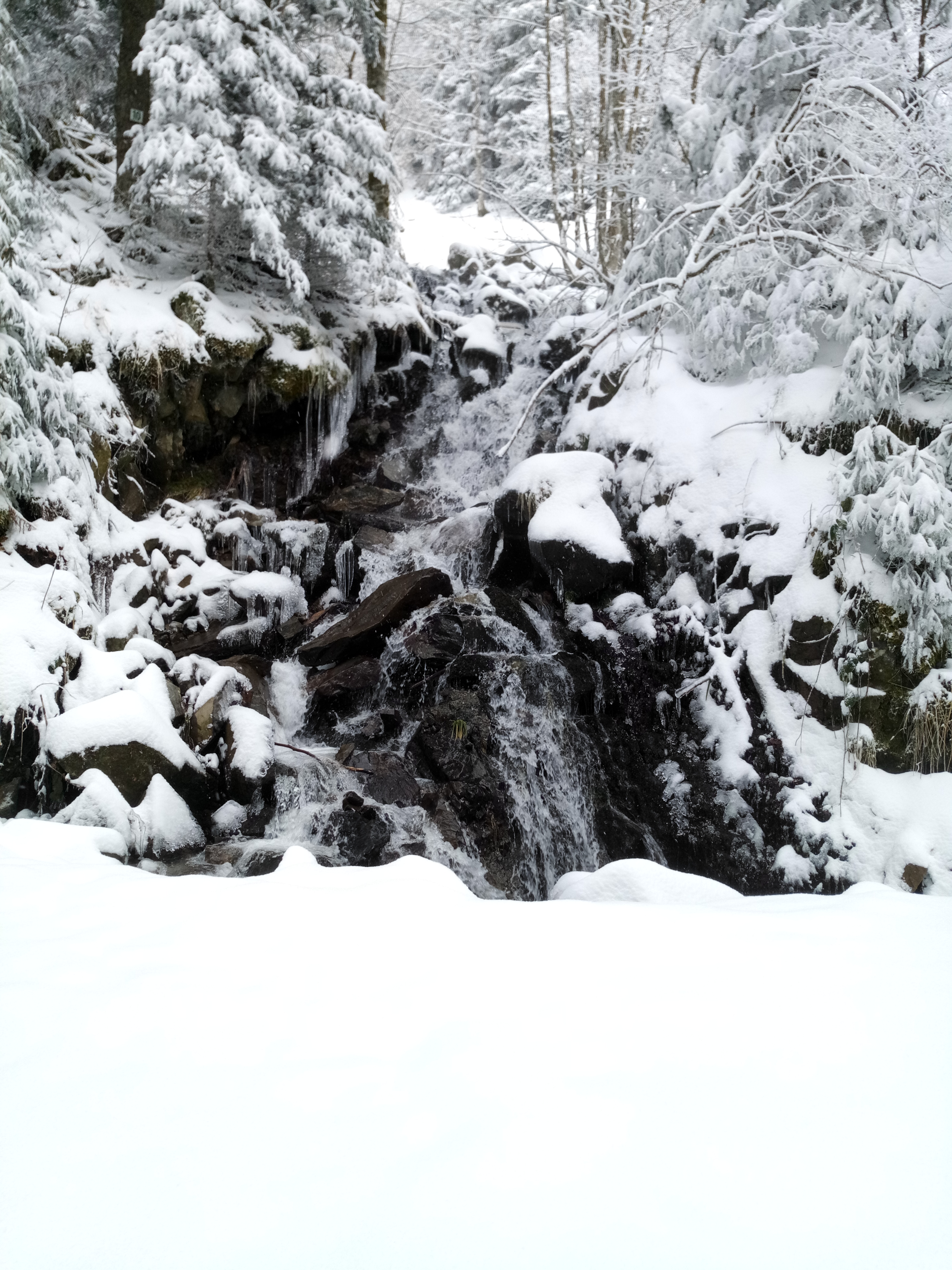 Photo n° 1 de l'avis de Sylvain.a fait le 21/03/2018 à 17:16