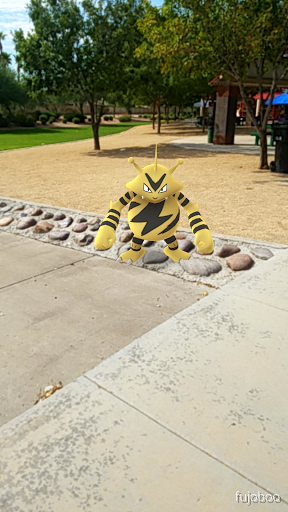 Park «Espee Park», reviews and photos, 450 E Knox Rd, Chandler, AZ 85225, USA