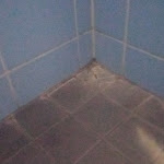 Photo n°7 de l'avis de Mikhail.A fait le 28/01/2024 à 13:22 sur le  Serways Raststätte Bühleck Nord à Zierenberg