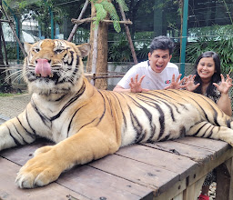 Tiger Park photo