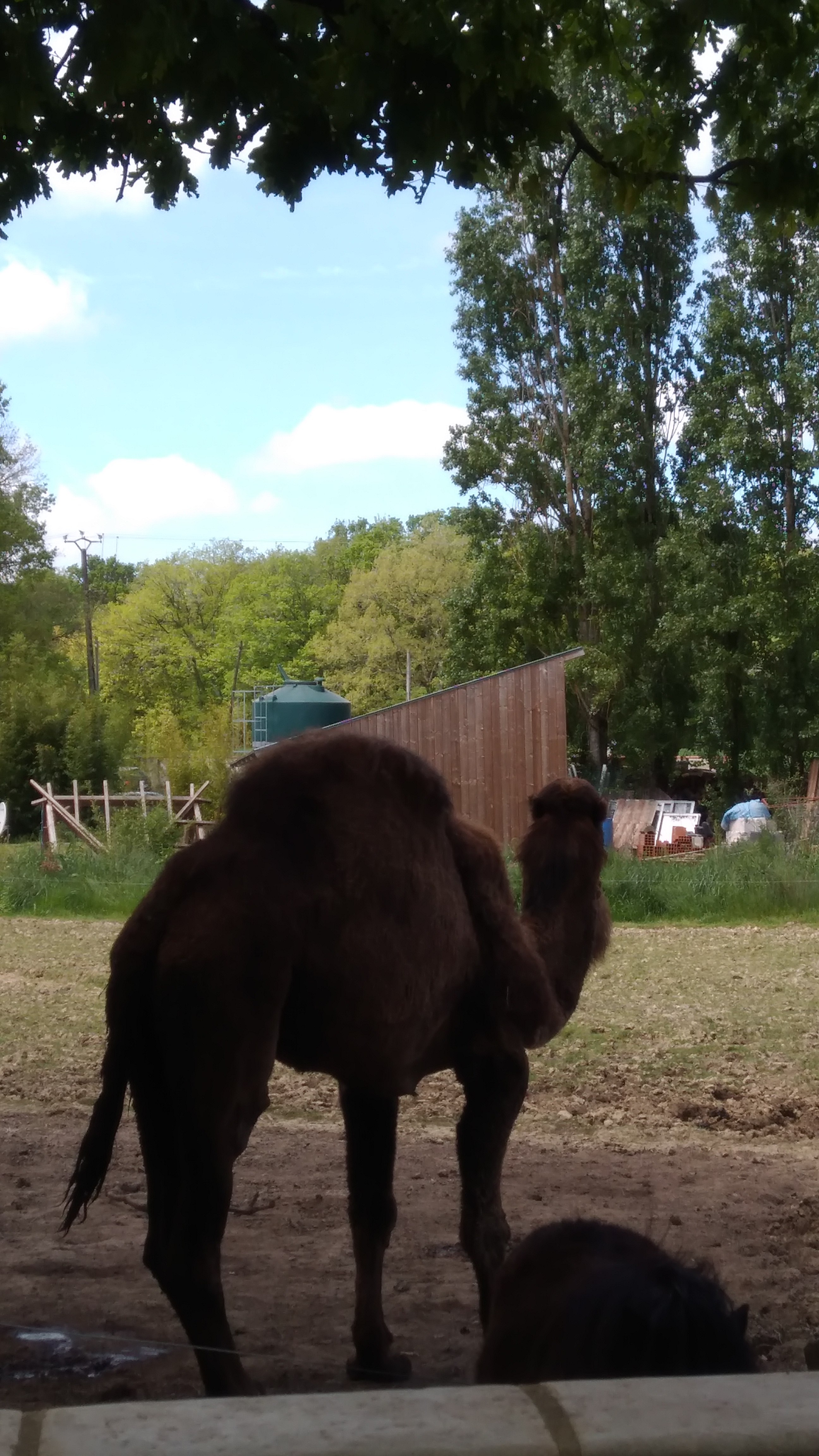 Photo n° 2 de l'avis de Myriam.e fait le 26/04/2018 à 13:38
