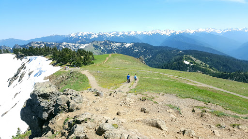 National Park «Olympic National Park», reviews and photos