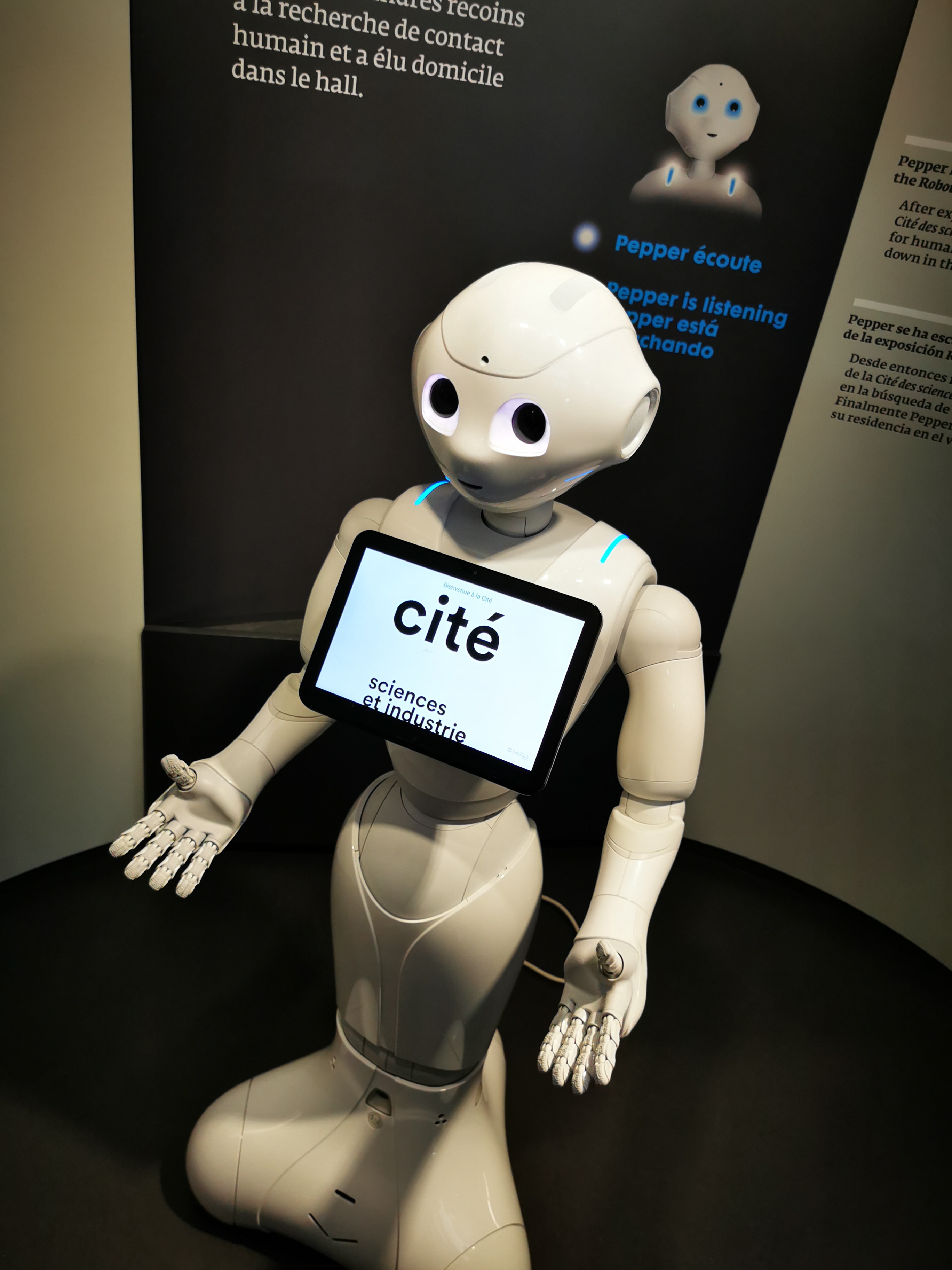 Photo n° 1 de l'avis de lepuy.N fait le 28/05/2022 à 13:15