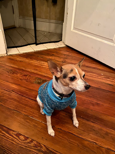 1524 S 5th St, Philadelphia, PA 19147, USA