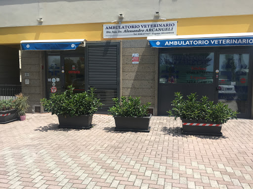 Pensioni per cani e dog hotel a Ambulatorio Veterinario La California Dr. Alessandro Arcangeli