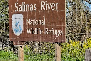 Salinas River National Wildlife Refuge image