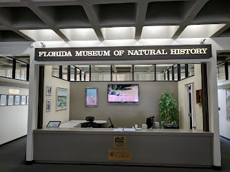Research & Collections at the Florida Museum of Natural History