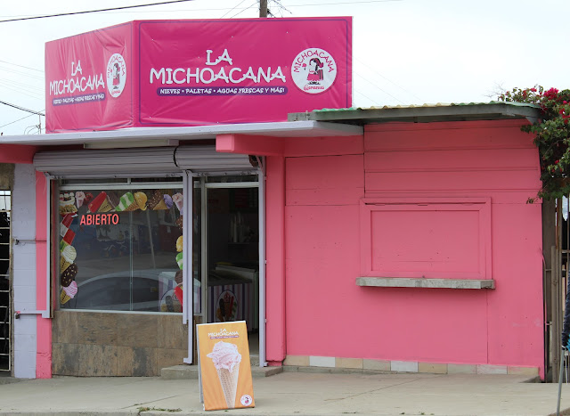 La michoacana constituyentes
