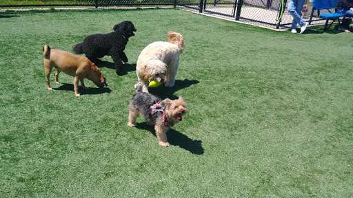 Park «Newbridge Rd Park», reviews and photos, 2600 Newbridge Rd, Bellmore, NY 11710, USA