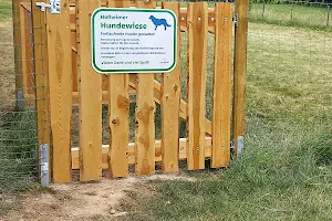 Hofheimer Hundewiese (eingezäunt) image