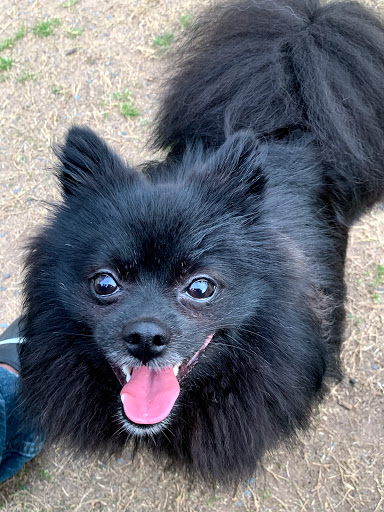 Park «Lenora Park», reviews and photos, 4515 Lenora Church Rd, Snellville, GA 30039, USA