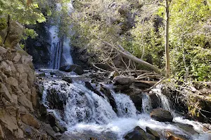 Hunter Creek Trailhead image
