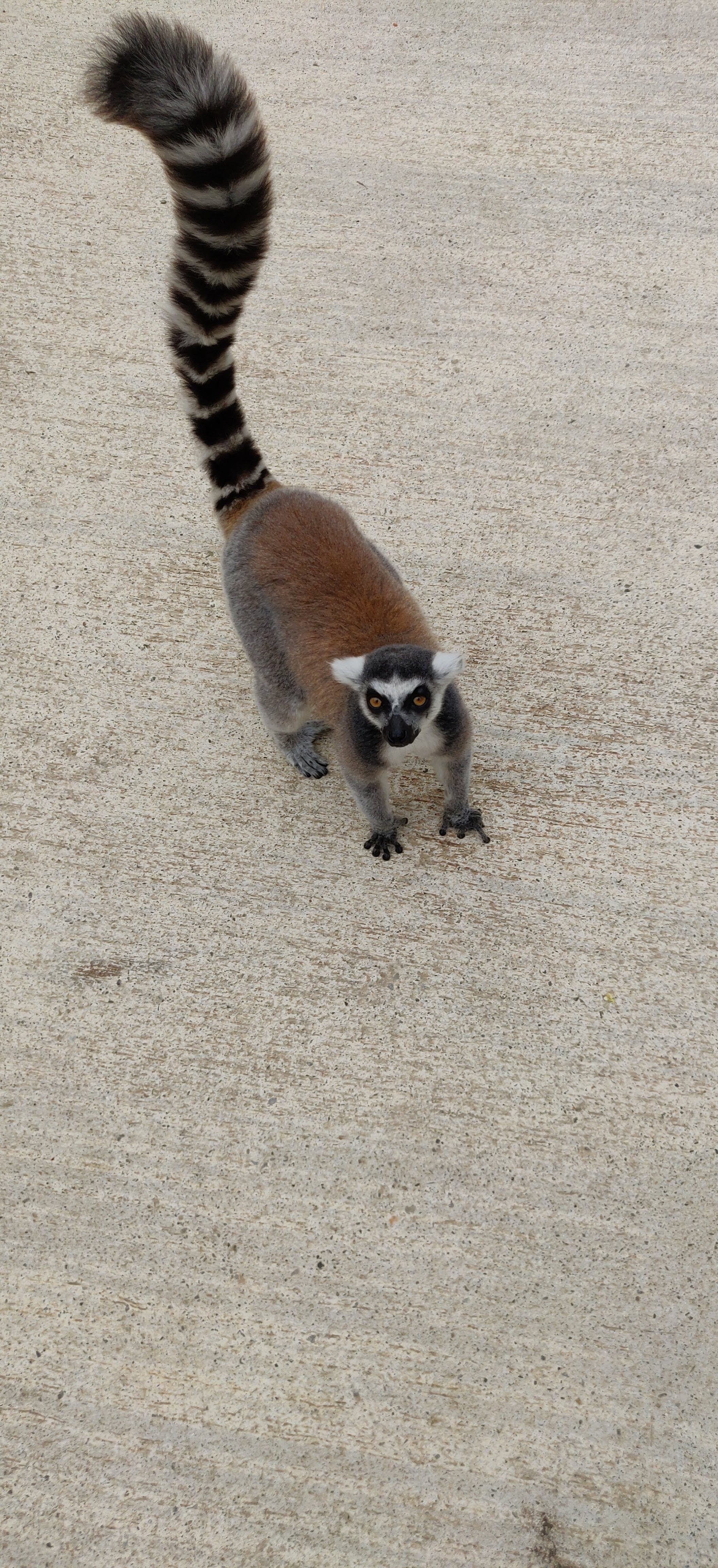 Photo n° 35 de l'avis de Frédéric.o fait le 15/11/2022 à 09:50