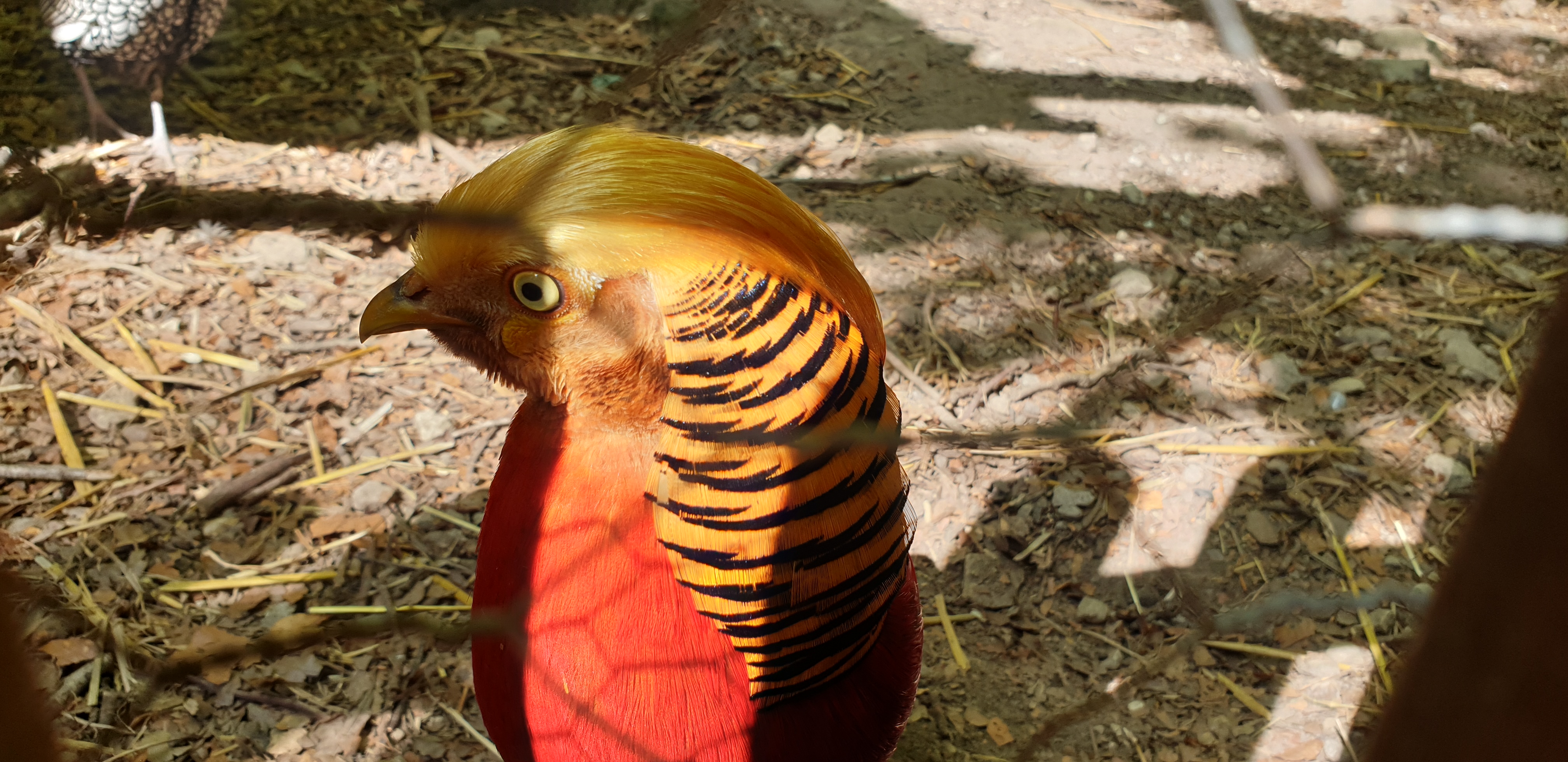 Photo n° 7 de l'avis de Dominique.A fait le 05/05/2022 à 18:02