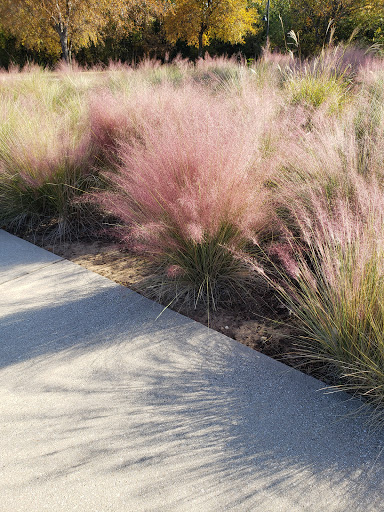 Park «Mike Lewis Park», reviews and photos, 2410 N Carrier Pkwy, Grand Prairie, TX 75050, USA