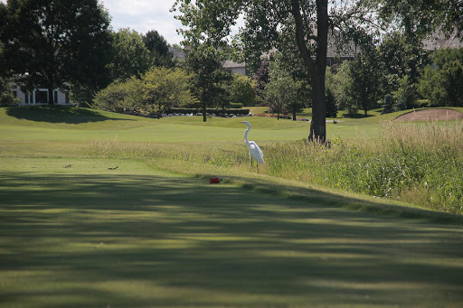 Public Golf Course «White Deer Run Golf Club», reviews and photos, 250 W Greggs Pkwy, Vernon Hills, IL 60061, USA