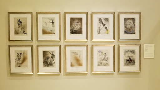 Museum «Meadows Museum», reviews and photos, 5900 Bishop Blvd, Dallas, TX 75205, USA