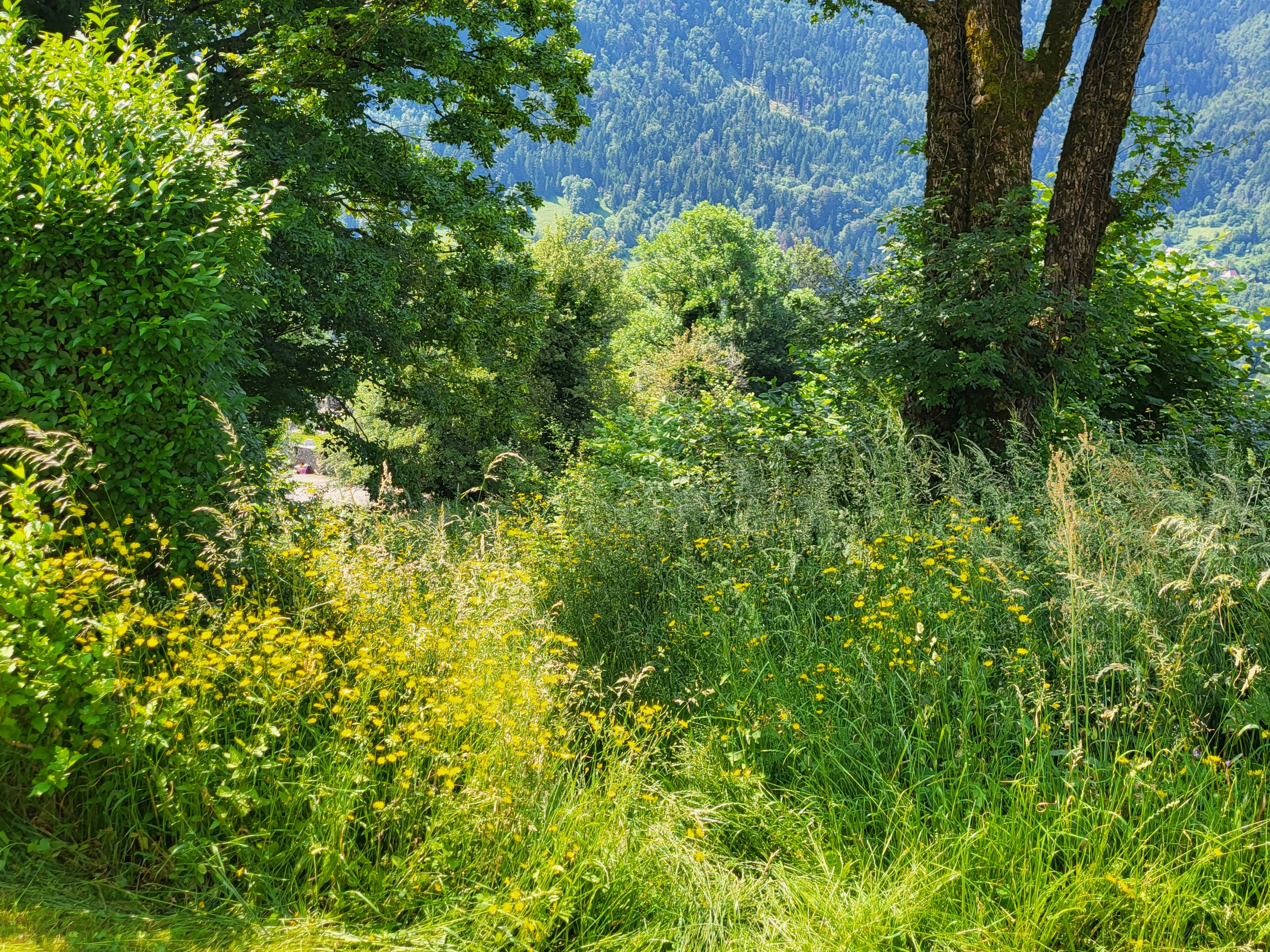 Photo n° 1 de l'avis de armelle. fait le 17/06/2023 à 13:14