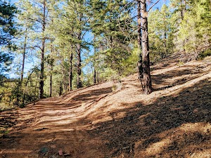 Chamisa Trailhead - photo 37