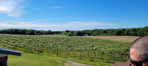 Winery «Virant Family Winery Inc», reviews and photos, 541 Atkins Rd, Geneva, OH 44041, USA