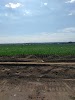 Old Fort Gilbert