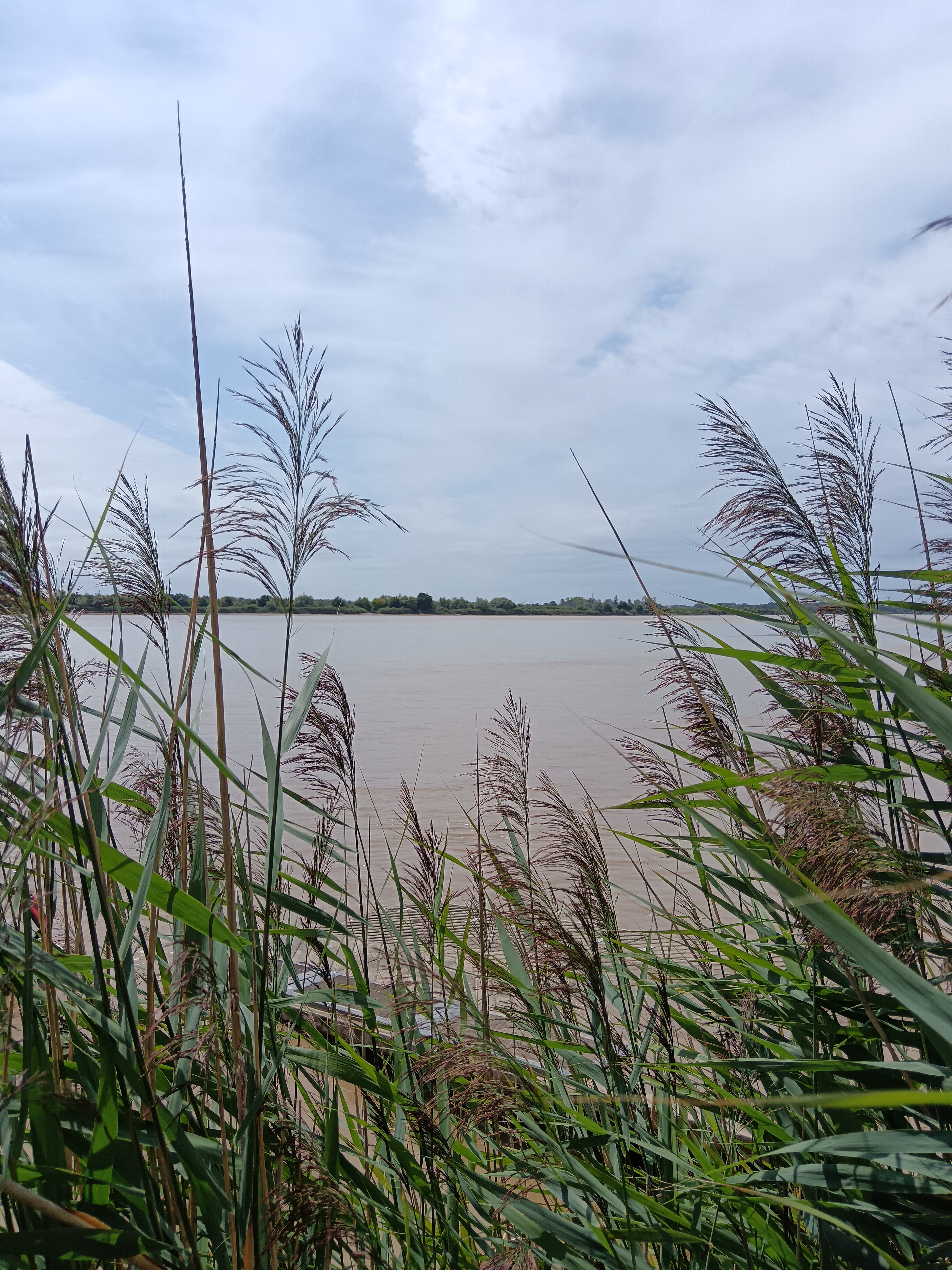 Photo n° 2 de l'avis de Laetitia.a fait le 15/08/2023 à 13:58