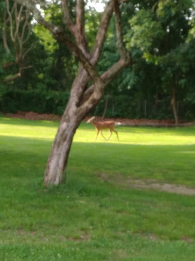 Golf Course «Christopher Morley Park Golf», reviews and photos, 500 Searingtown Rd, Roslyn, NY 11576, USA