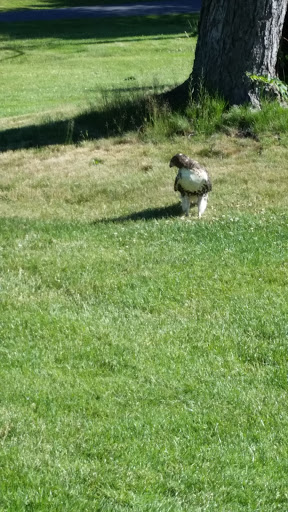 Golf Course «Stanley Golf Course», reviews and photos, 245 Hartford Rd, New Britain, CT 06053, USA