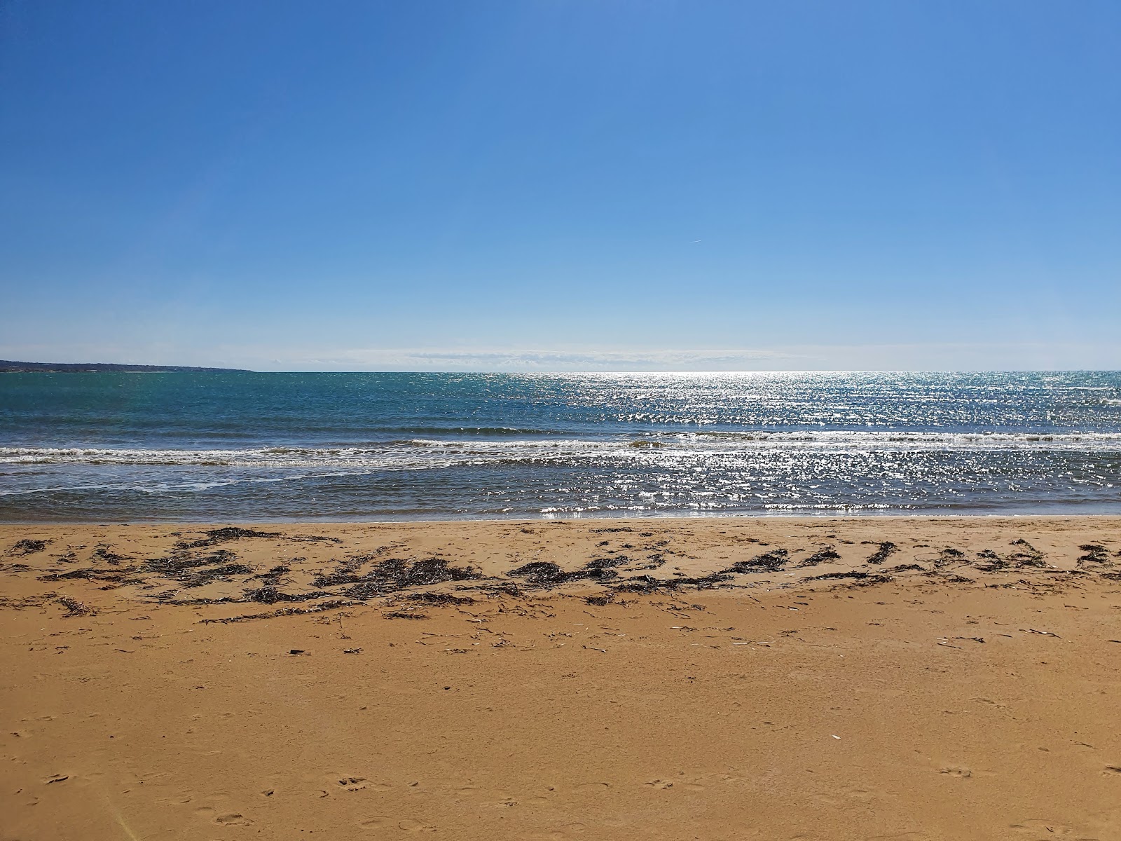 Photo de Playa Grande - bon endroit convivial pour les animaux de compagnie pour les vacances